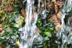 Reichenbach-Wasser - entdecke die Naturwesen